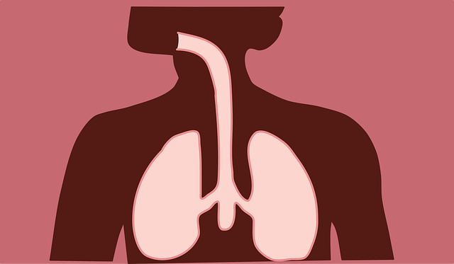 URGENCIAS Y EMERGENCIAS RESPIRATORIAS (**) (100 horas)